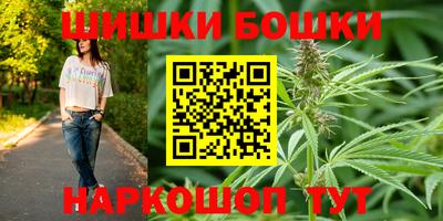 гидропоника Камышлов