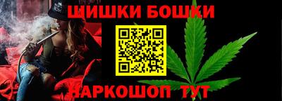 гидропоника Камышлов