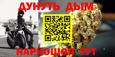 гидропоника Камышлов