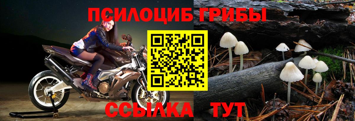 Галлюциногенные грибы мухоморы Ивантеевка