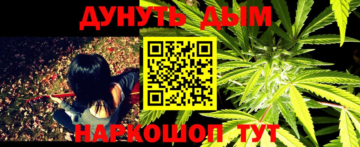 Конопля сатива Ивантеевка